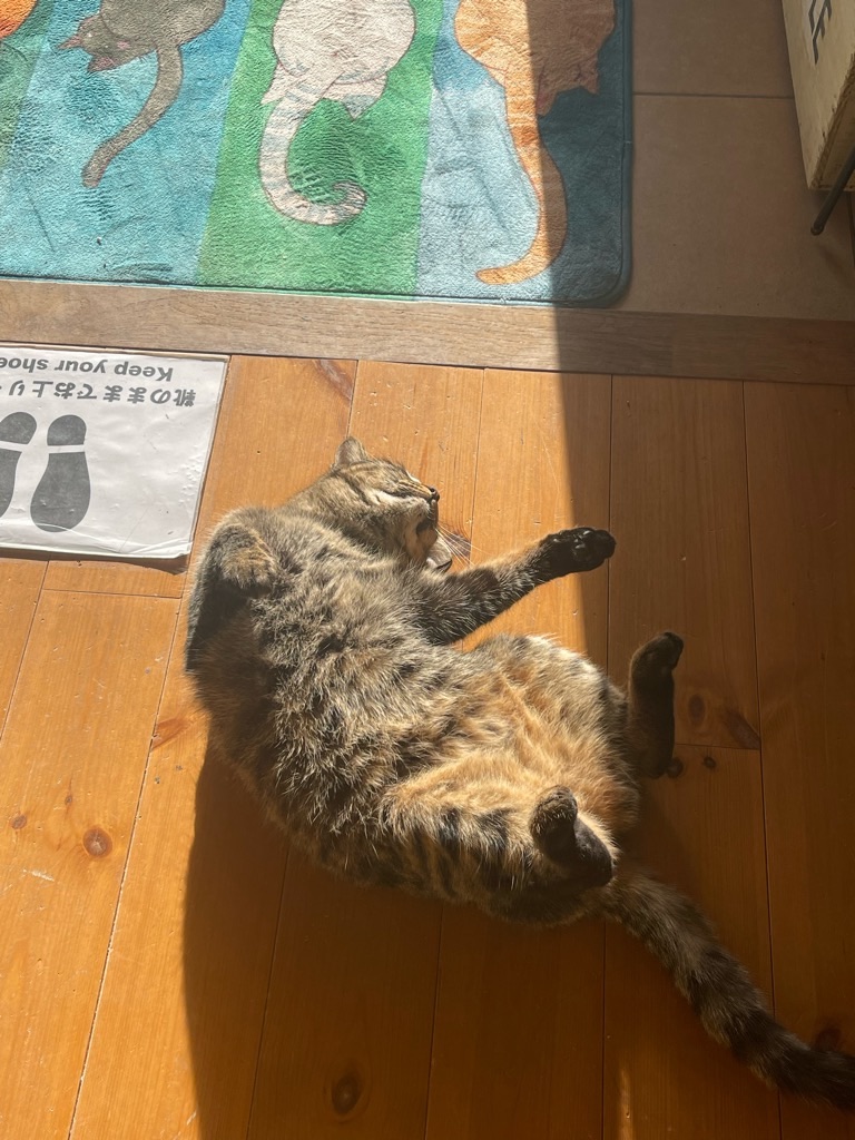 f:id:zappa38:20240126194808j:image