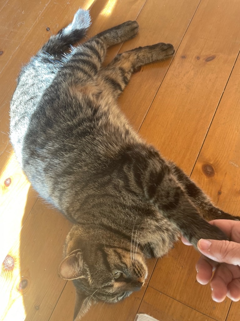 f:id:zappa38:20240126194811j:image