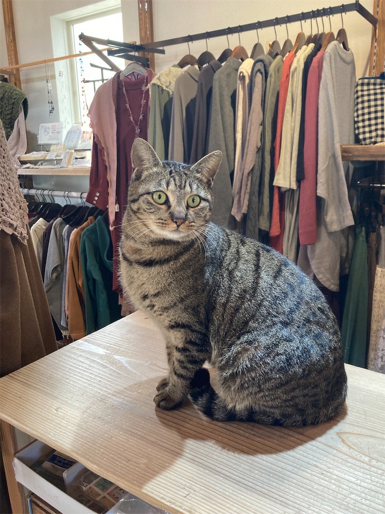 f:id:zappa38:20240127063952j:image