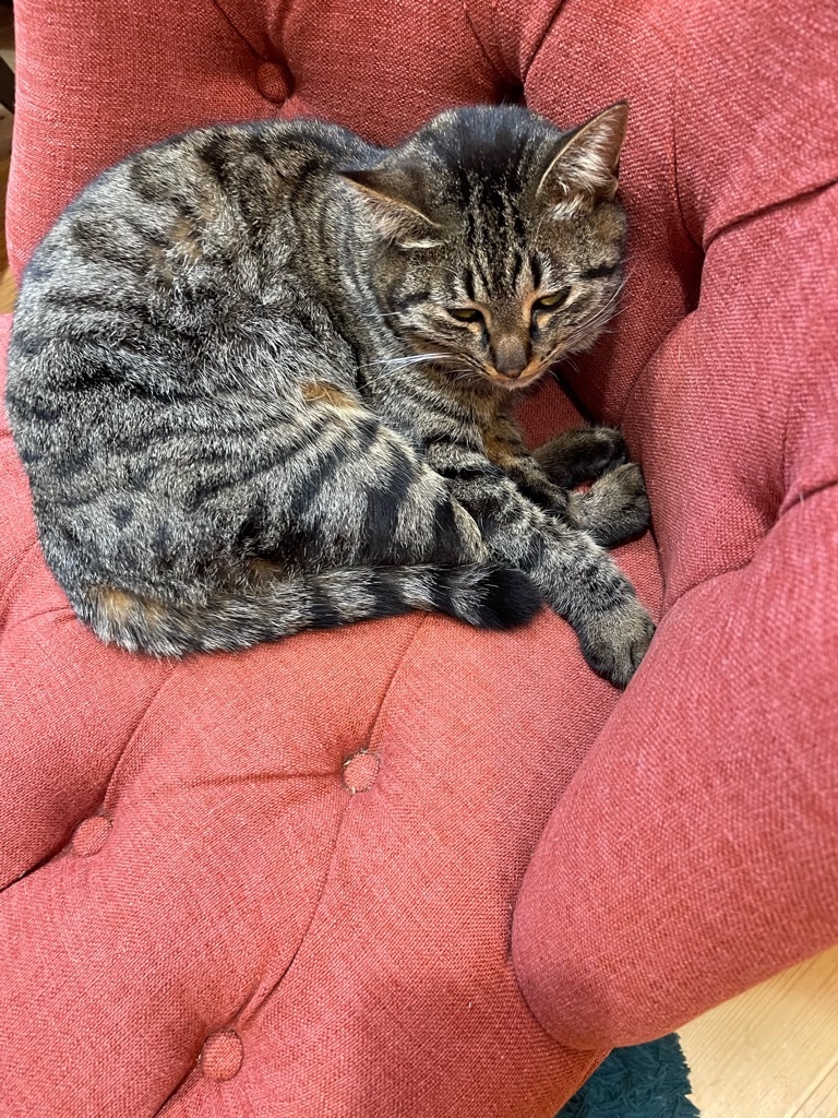 f:id:zappa38:20240201172919j:image f:id:zappa38:20240201172919j:image