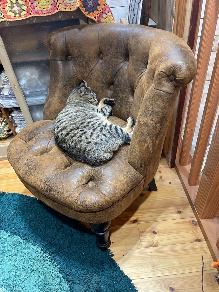 f:id:zappa38:20240201172956j:image f:id:zappa38:20240201172956j:image