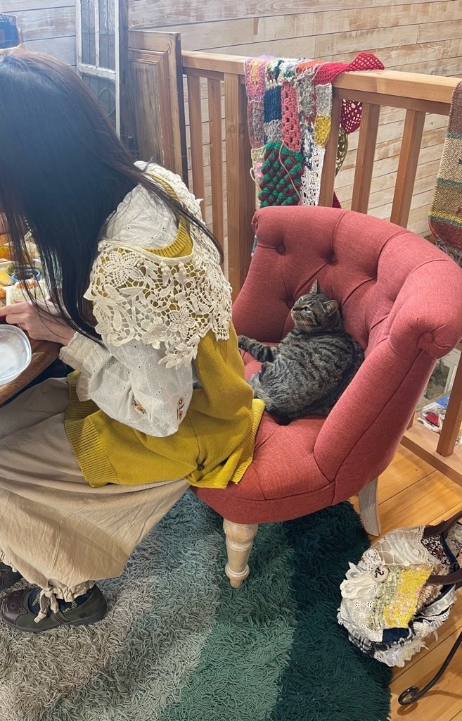 f:id:zappa38:20240217184400j:image