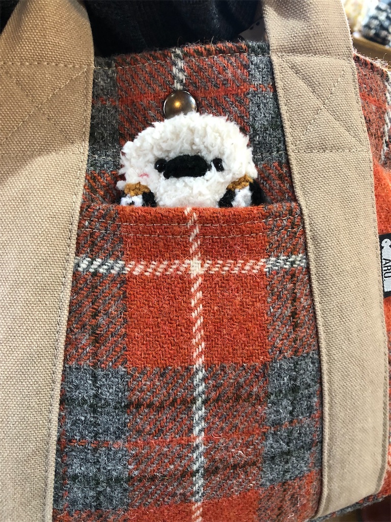 f:id:zappa38:20240310151059j:image f:id:zappa38:20240310151059j:image