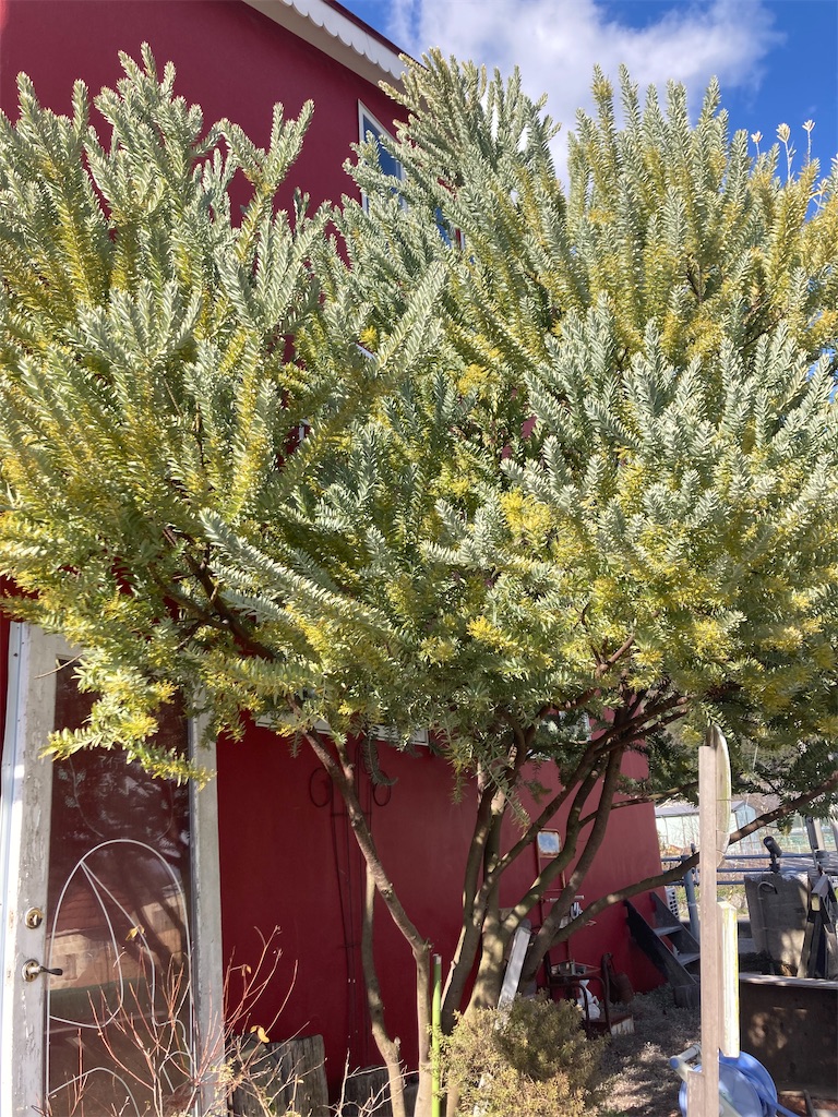 f:id:zappa38:20240310152038j:image f:id:zappa38:20240310152038j:image