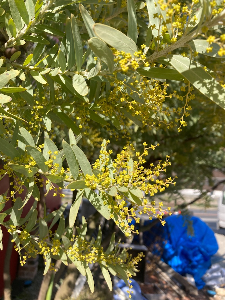 f:id:zappa38:20240310152306j:image f:id:zappa38:20240310152306j:image