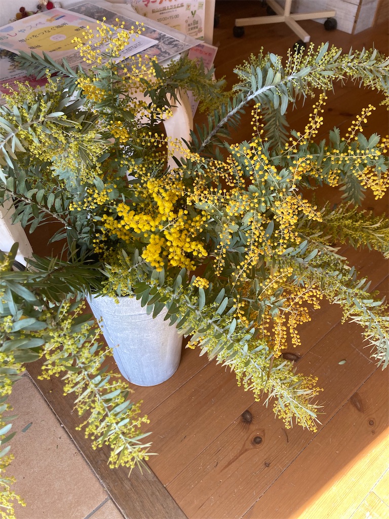 f:id:zappa38:20240310152313j:image f:id:zappa38:20240310152313j:image