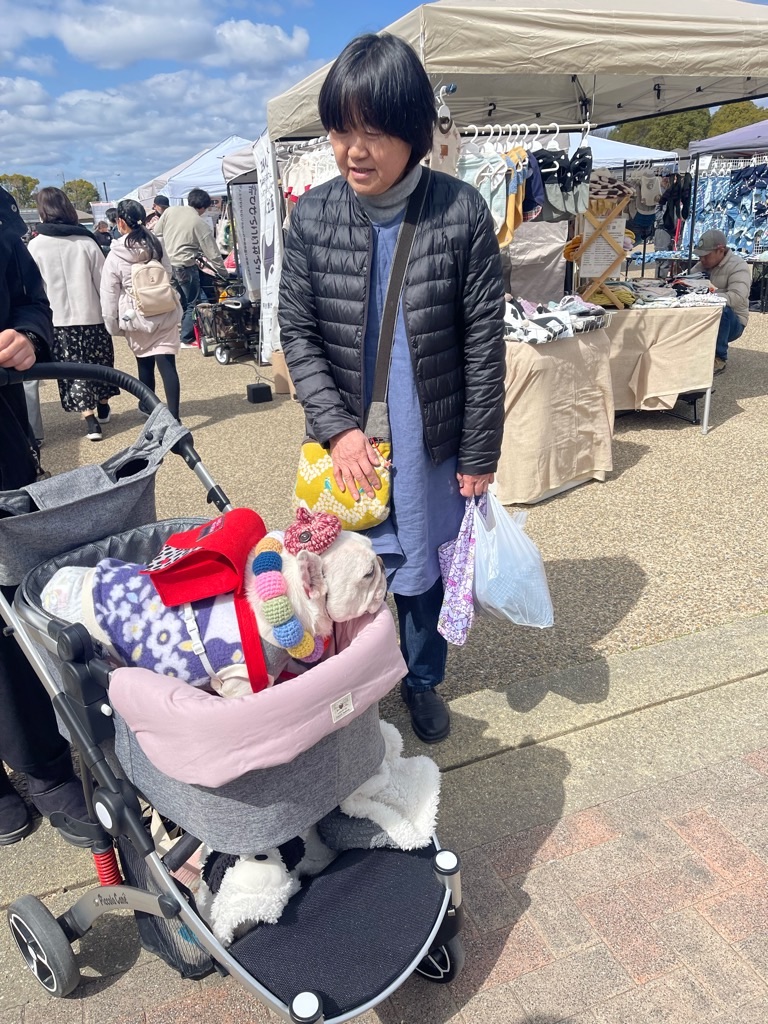 f:id:zappa38:20240310192105j:image