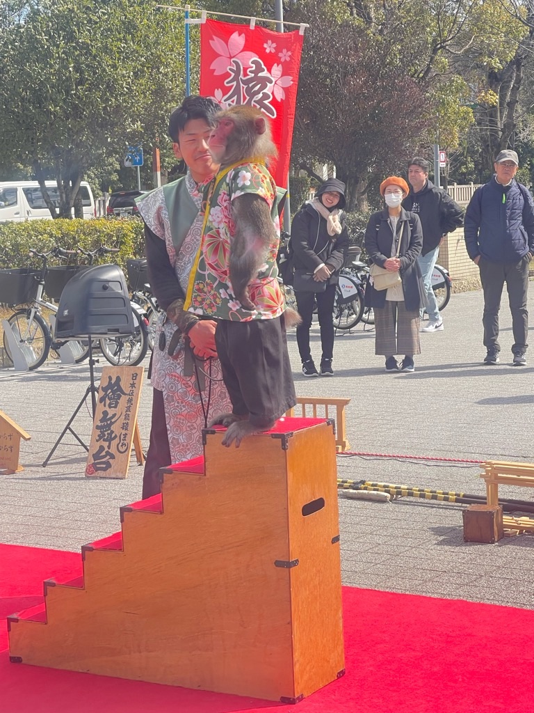 f:id:zappa38:20240310192202j:image