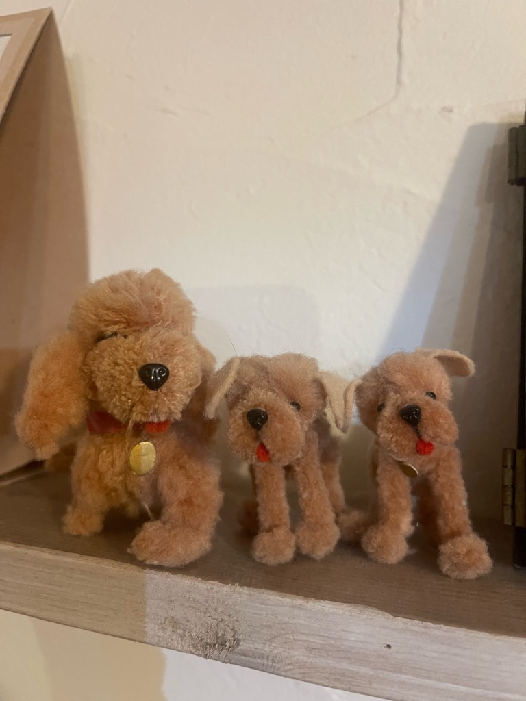 f:id:zappa38:20240310192232j:image