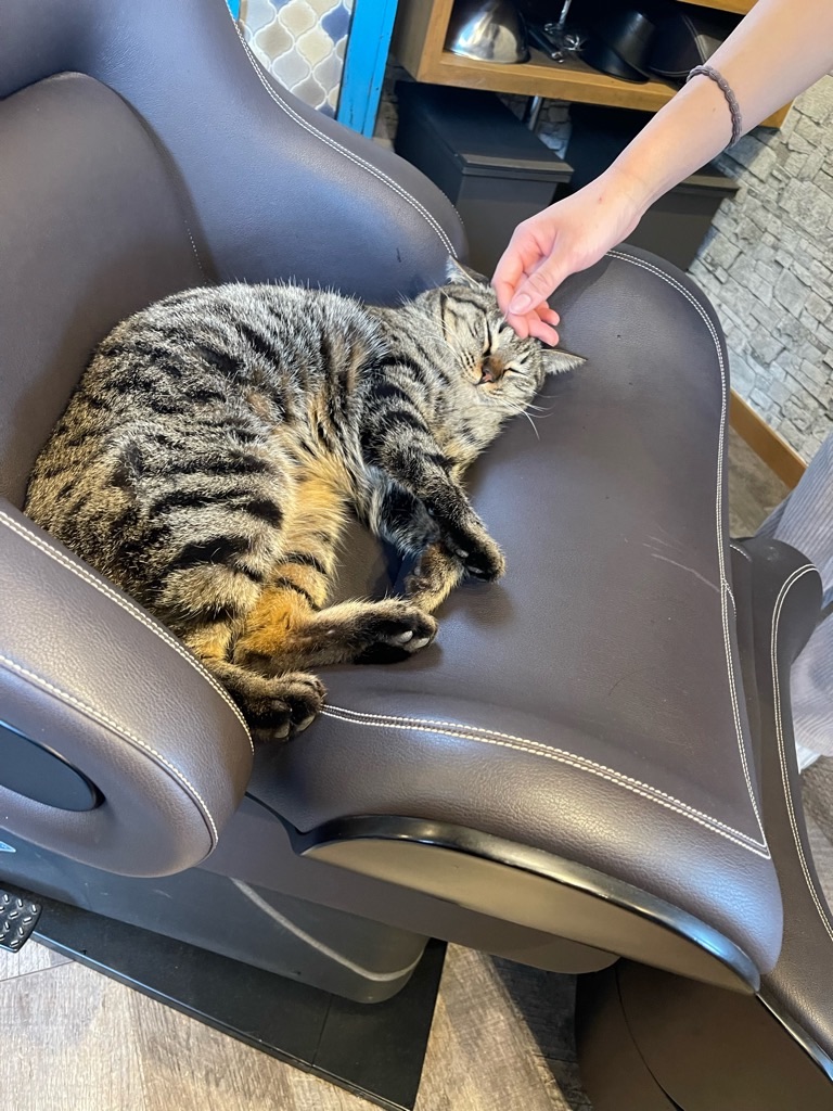 f:id:zappa38:20240312172512j:image