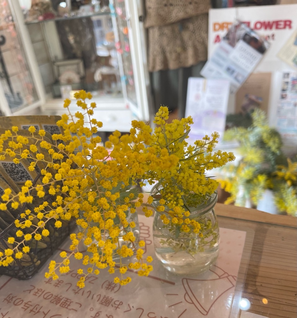 f:id:zappa38:20240314201125j:image f:id:zappa38:20240314201125j:image