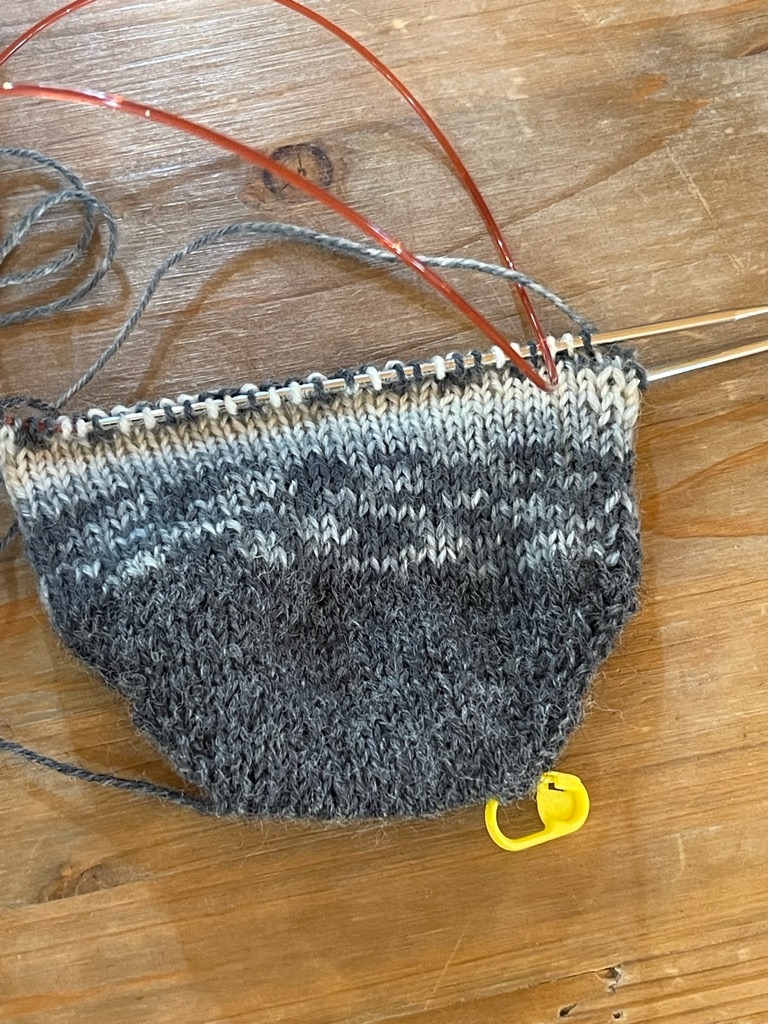 f:id:zappa38:20240316170117j:image f:id:zappa38:20240316170117j:image