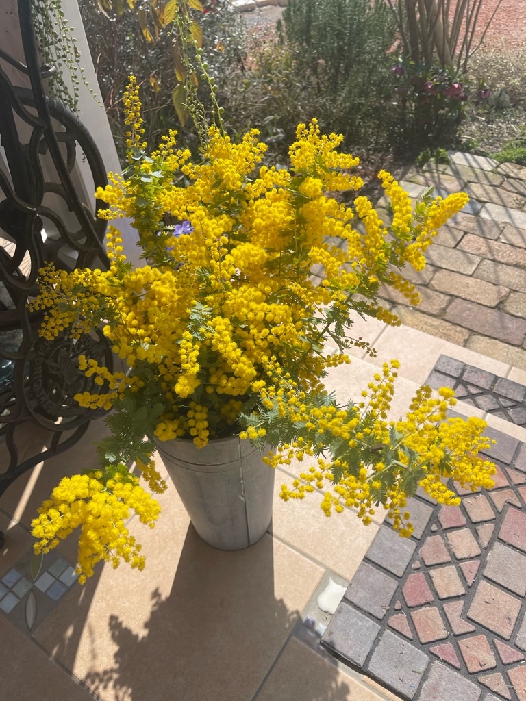 f:id:zappa38:20240316170130j:image f:id:zappa38:20240316170130j:image