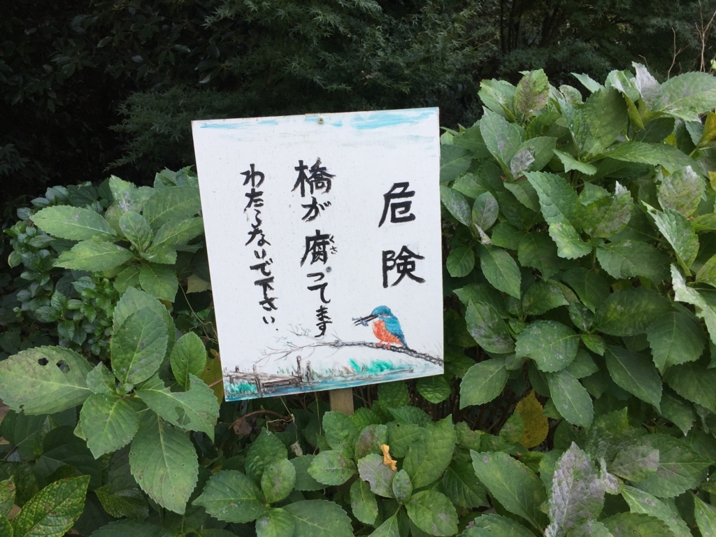 f:id:zappazepp:20171112170251j:plain f:id:zappazepp:20171112170251j:plain