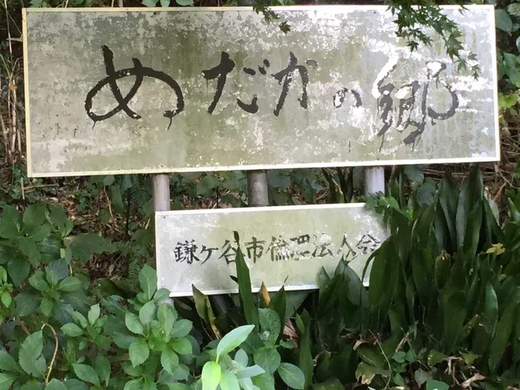 f:id:zappazepp:20171112170344j:plain f:id:zappazepp:20171112170344j:plain