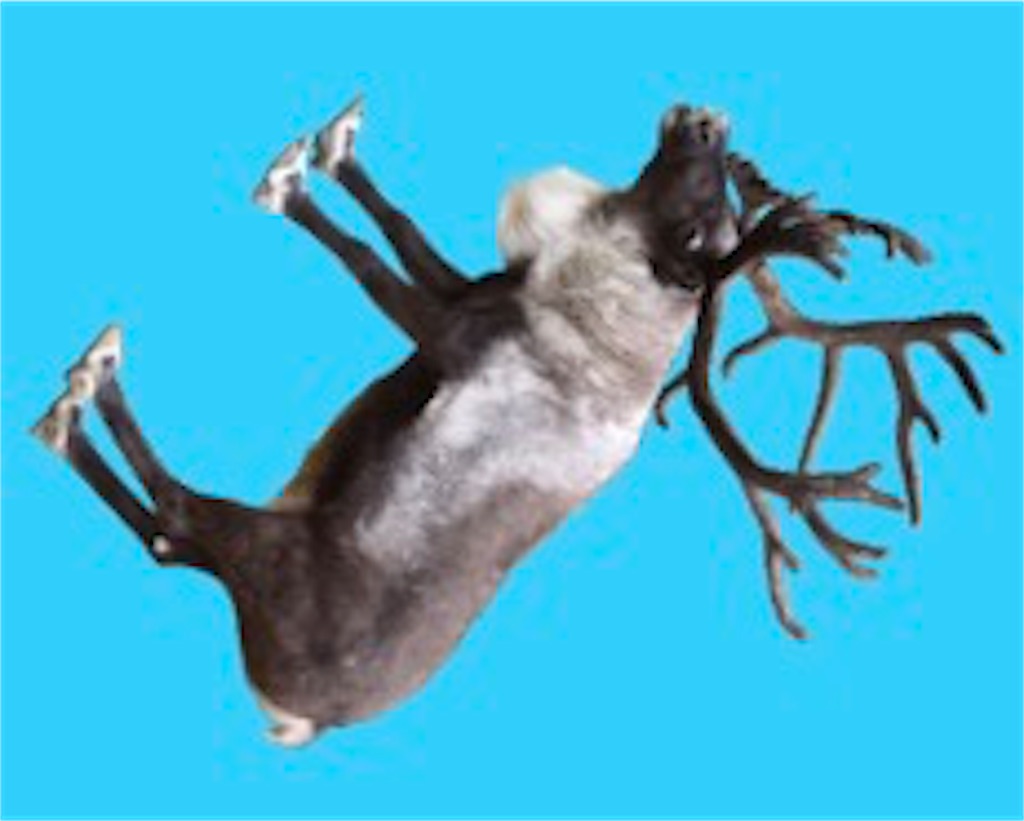 f:id:zapusu:20171207151113j:image