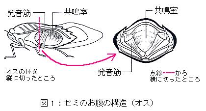 f:id:zaqmju7:20150801205720j:plain f:id:zaqmju7:20150801205720j:plain