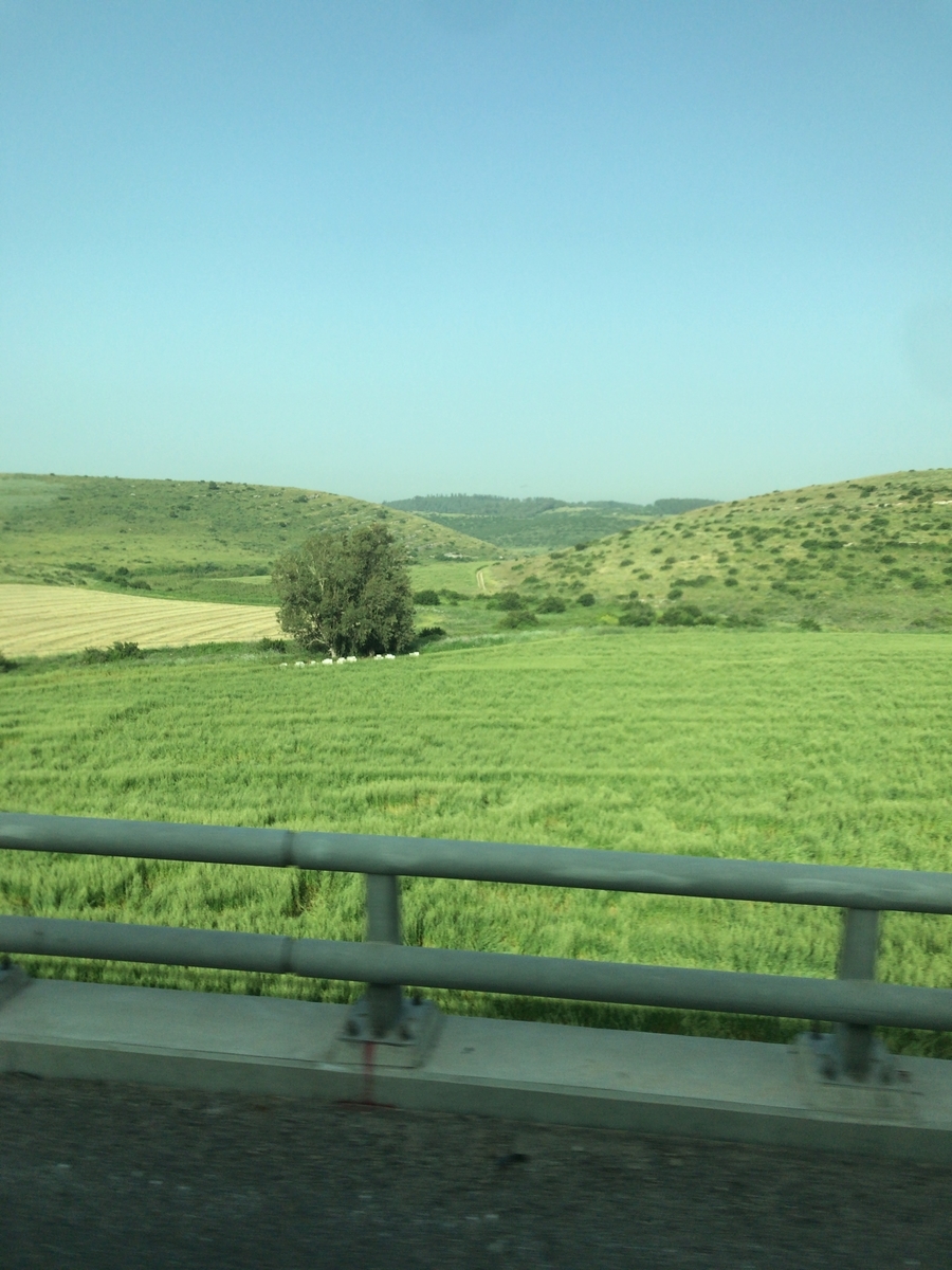 f:id:zaqq:20190610191008j:plain f:id:zaqq:20190610191008j:plain