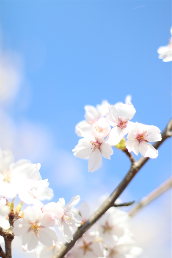 f:id:zaqq:20260822170318j:image