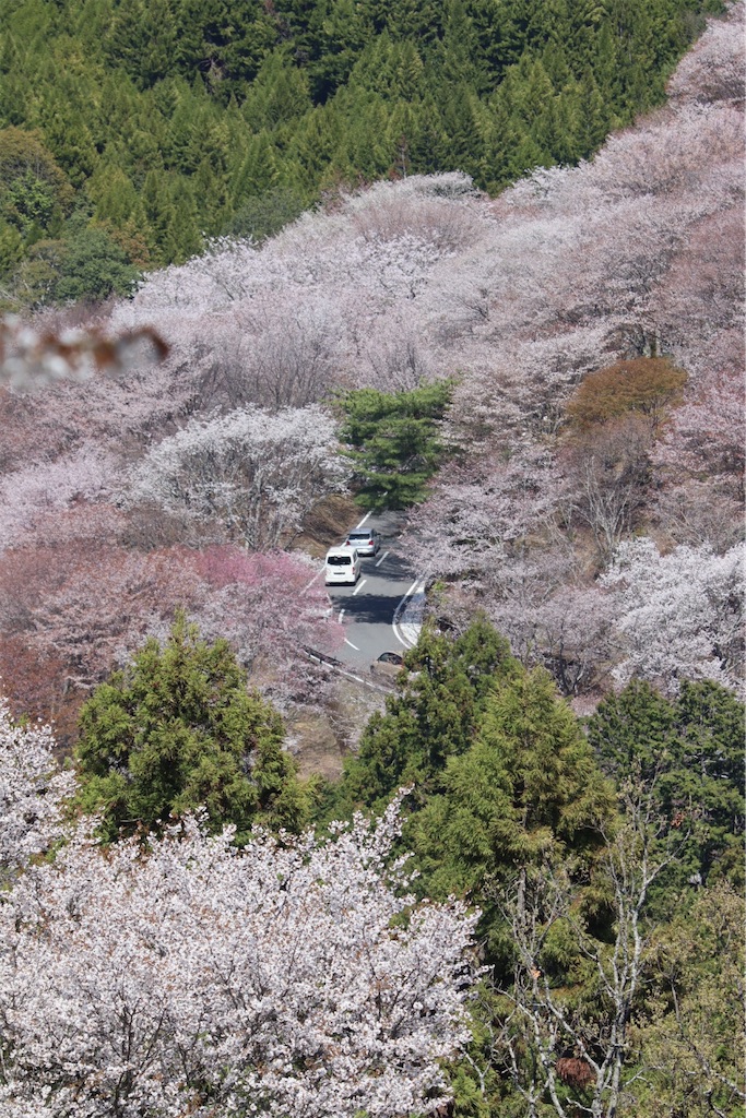 f:id:zaqq:20260822170335j:image