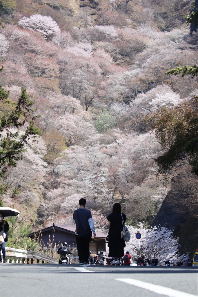 f:id:zaqq:20260822170358j:image
