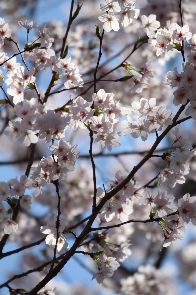 f:id:zaqq:20260822170418j:image