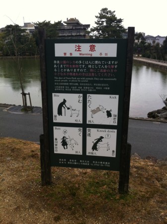 f:id:zaregoto448:20120121135715j:image f:id:zaregoto448:20120121135715j:image