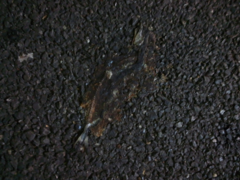 f:id:zaren_13:20171119210719j:plain f:id:zaren_13:20171119210719j:plain