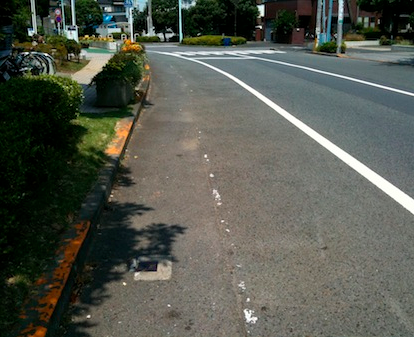 駐車違反の弁明書が認められるまでの経過 ザリガニが見ていた