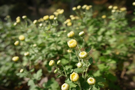 20111107175448