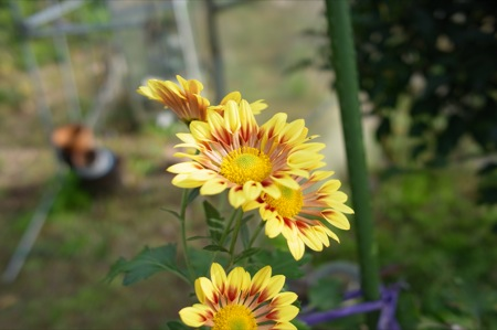 20111107175451