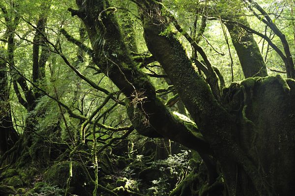 f:id:zaruarai:20111022123424j:image