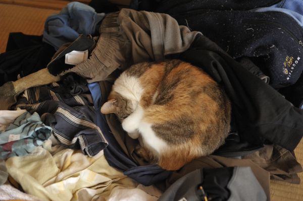 f:id:zaruarai:20111025111646j:image