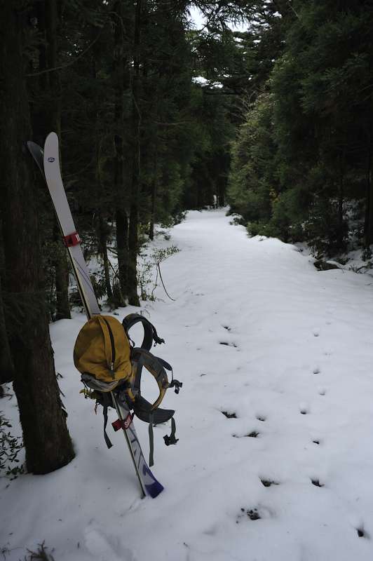 f:id:zaruarai:20111228152108j:image