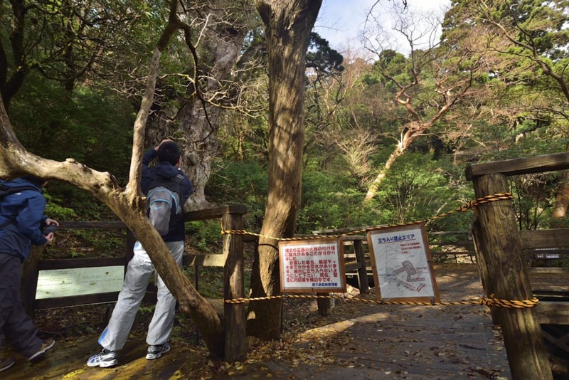 f:id:zaruarai:20121201104658j:image