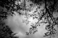 20100613193018