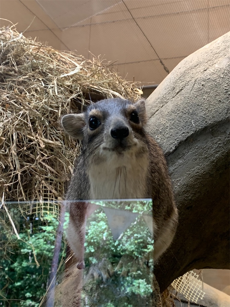 デートな10月 座敷童子のもうひとりごと 仮 デートな10月 座敷童子のもうひとりごと 仮