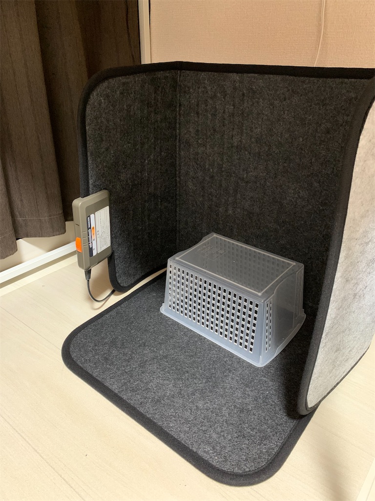 f:id:zashikiuwarashi:20250225005508j:image