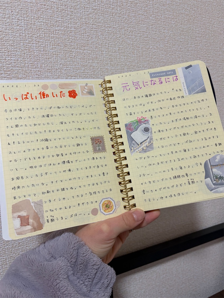 f:id:zashikiuwarashi:20260202234654j:image