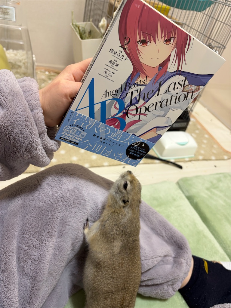 f:id:zashikiuwarashi:20260330180857j:image