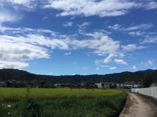 f:id:zashu:20161011204223j:image f:id:zashu:20161011204223j:image