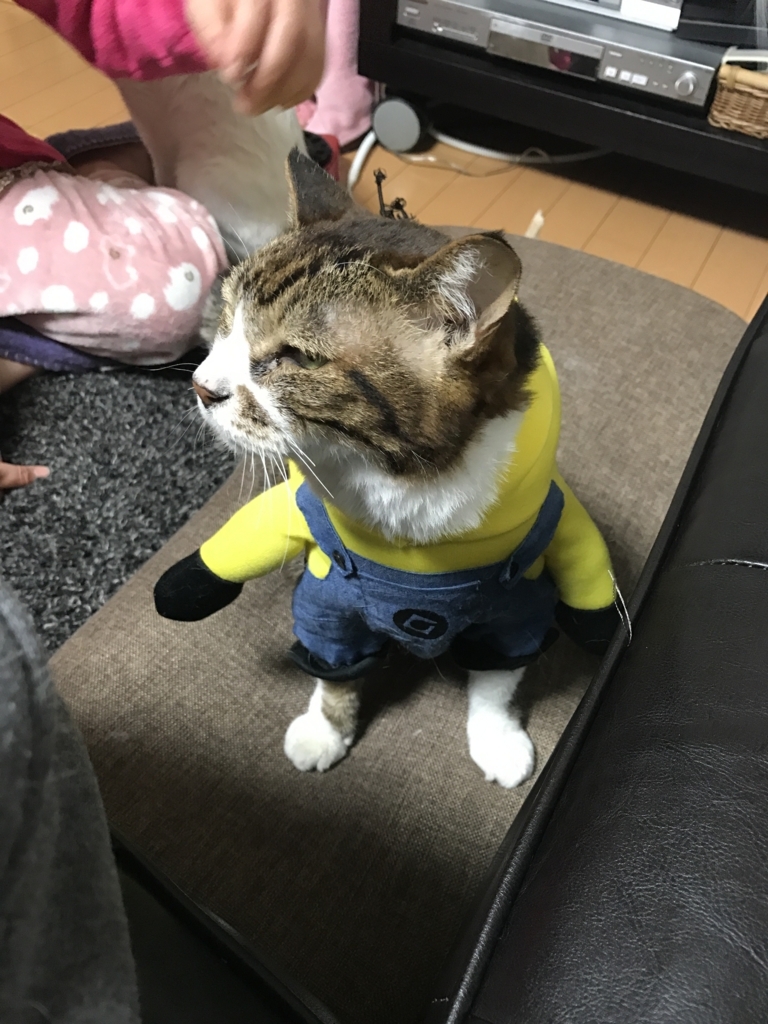 f:id:zattaburogu:20170610095251j:plain