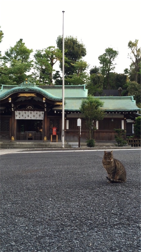 f:id:zattaburogu:20170617134532j:image