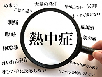f:id:zatugakutanosii:20190604141355j:plain f:id:zatugakutanosii:20190604141355j:plain