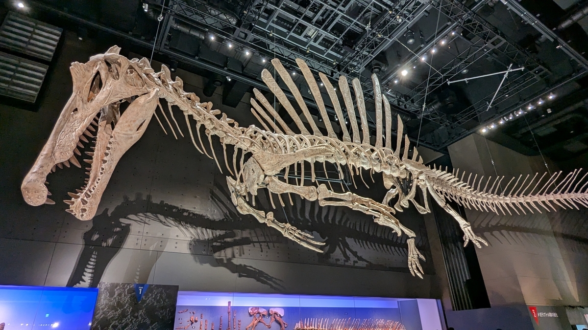 獣脚類2025～「フクイ」から探る恐竜の進化～』レポート - 古生物