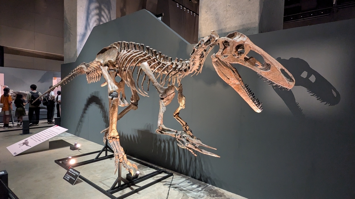 獣脚類2025～「フクイ」から探る恐竜の進化～』レポート - 古生物