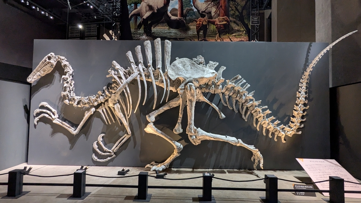 獣脚類2025～「フクイ」から探る恐竜の進化～』レポート - 古生物