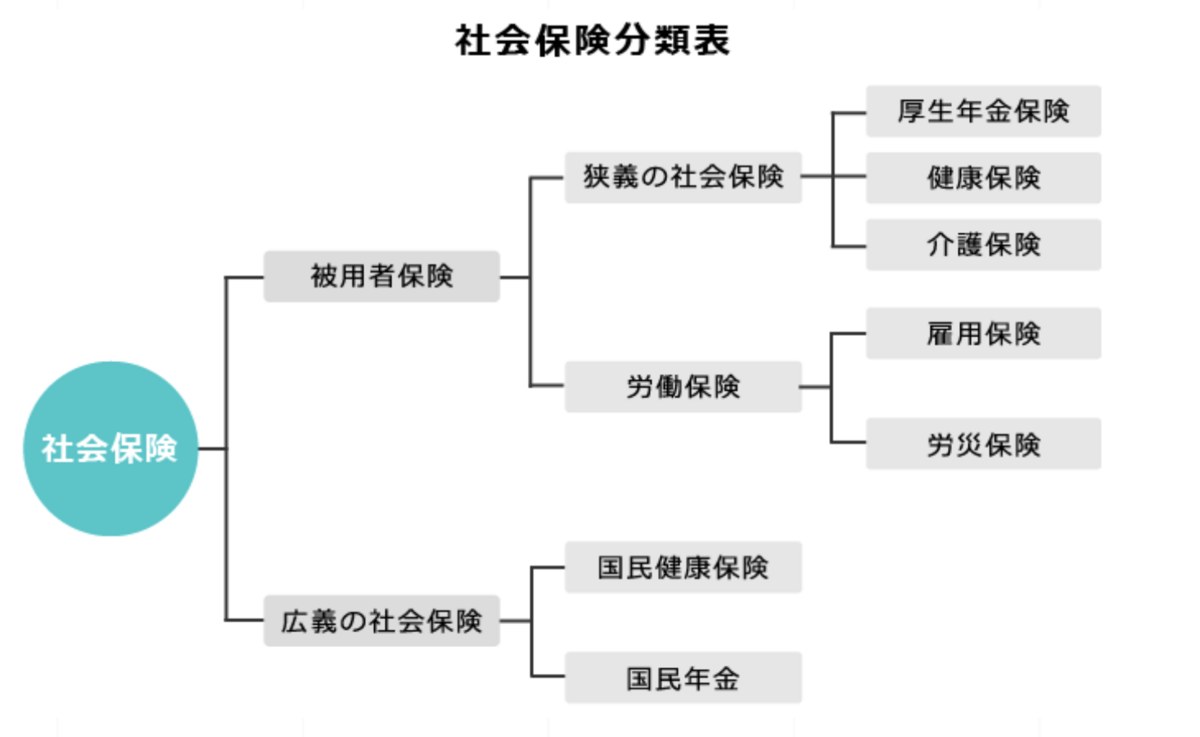 社会保険分類表