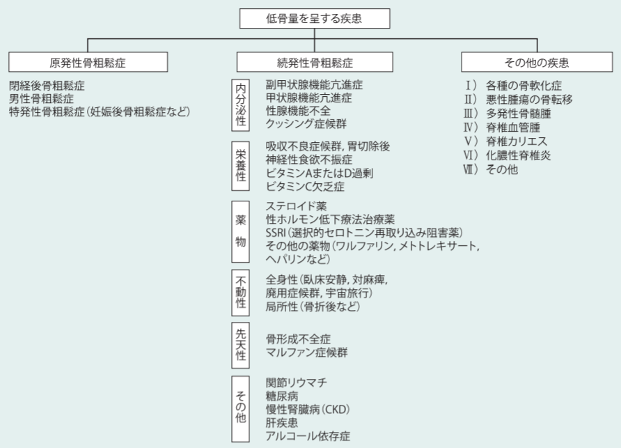 骨粗鬆症のはなし 救急医 ざわさんのブログ