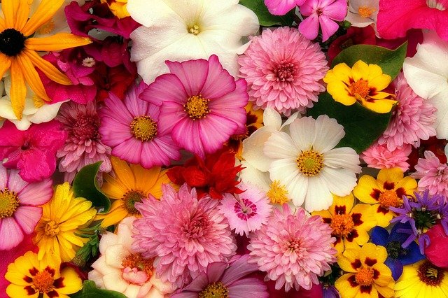 f:id:zawam23:20210728032106j:plain